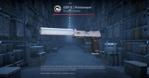 USP-S | Printstream (Field-Tested) Screenshot