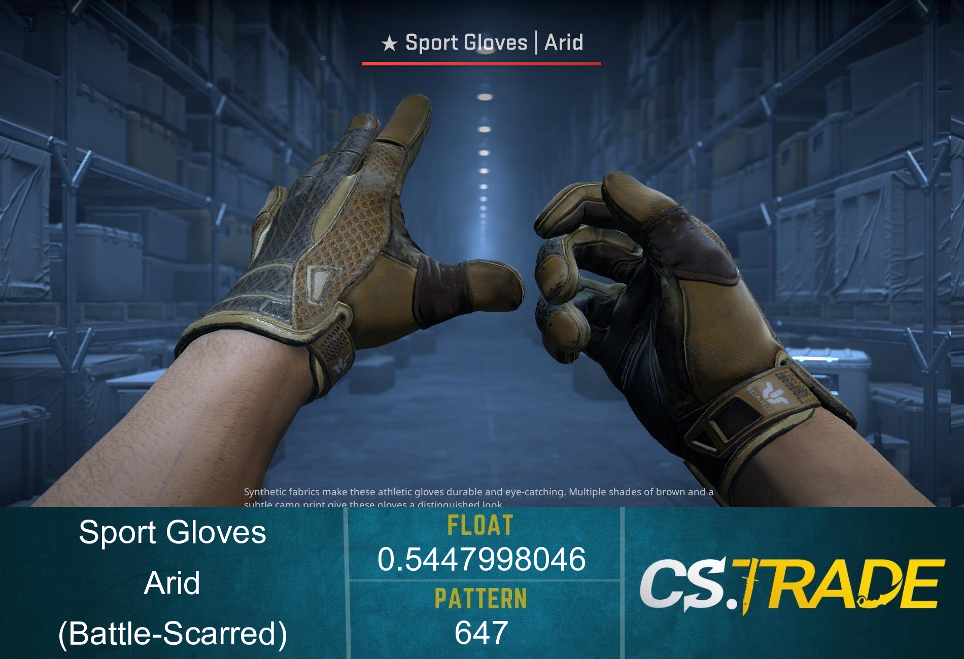 ★ Sport Gloves | Arid (Battle-Scarred) Screenshot