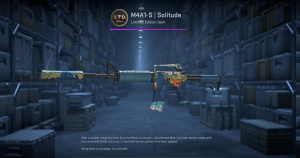 M4A1-S | Solitude (Minimal Wear) Screenshot