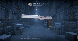 USP-S | Printstream (Battle-Scarred) Screenshot