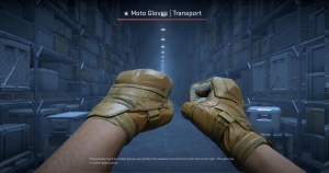 ★ Moto Gloves | Transport (Well-Worn) Screenshot