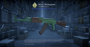 AK-47 | Wintergreen (Factory New) Screenshot