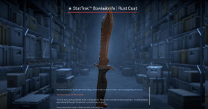 ★ StatTrak™ Bowie Knife | Rust Coat (Battle-Scarred) Screenshot