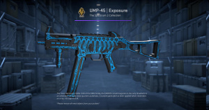 UMP-45 | Exposure (Factory New) Screenshot