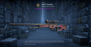 AWP | Duality (Minimal Wear) Screenshot