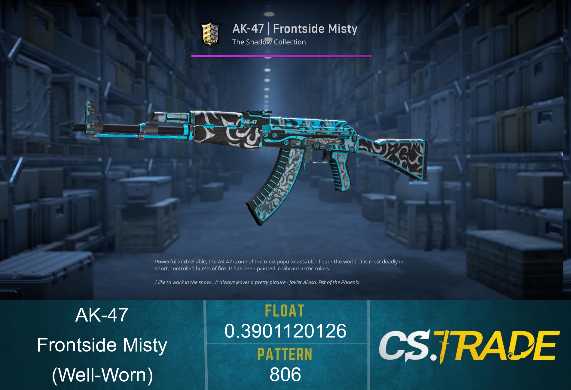 AK-47 | Frontside Misty (Well-Worn)