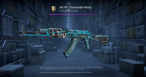 AK-47 | Frontside Misty (Well-Worn) Screenshot