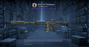 M4A1-S | Flashback (Minimal Wear) Screenshot