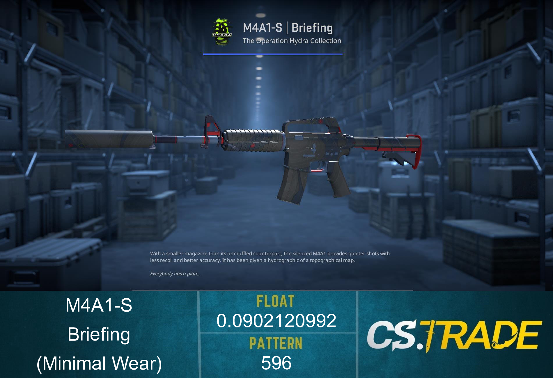 M4A1-S | Briefing (Factory New) Screenshot