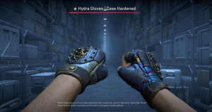 ★ Hydra Gloves | Case Hardened (Well-Worn) Screenshot