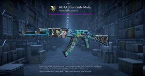 AK-47 | Frontside Misty (Well-Worn) Screenshot