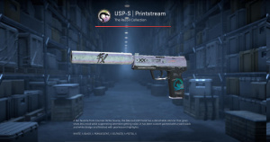 USP-S | Printstream (Battle-Scarred) Screenshot