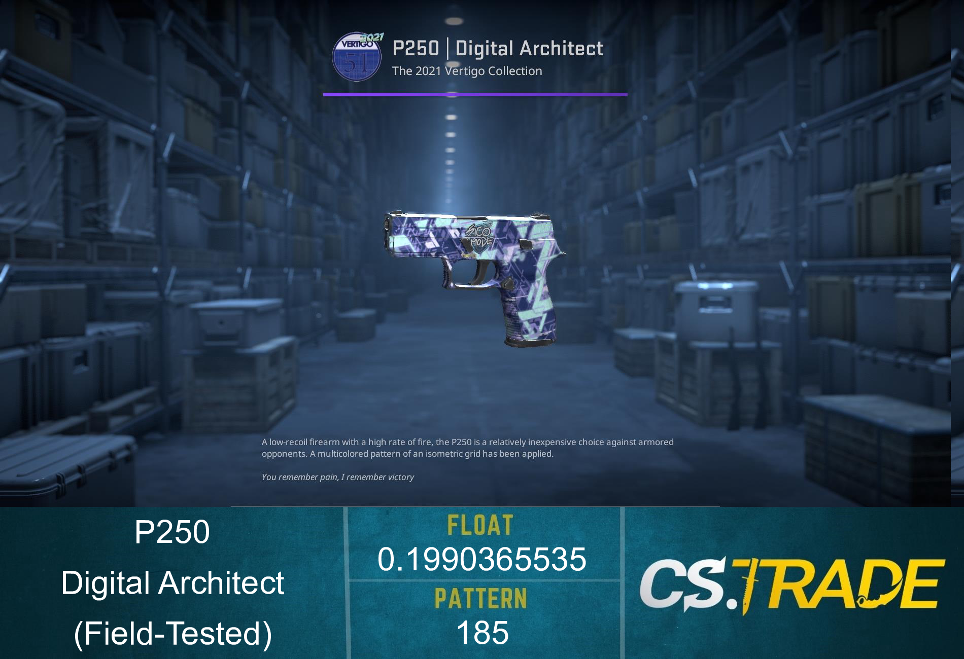 P250 | Digital Architect (Well-Worn) Screenshot
