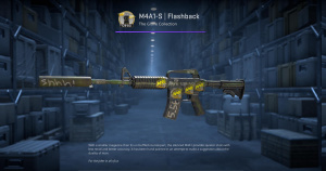 M4A1-S | Flashback (Factory New) Screenshot