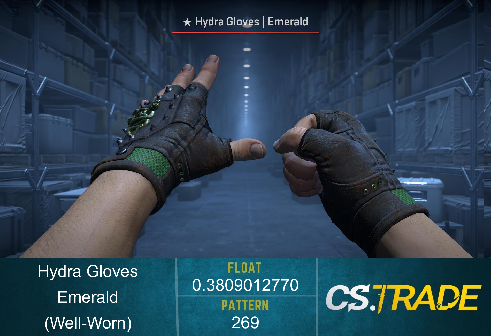 ★ Hydra Gloves | Emerald (Well-Worn) Screenshot