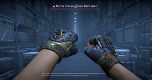 ★ Hydra Gloves | Case Hardened (Battle-Scarred) Screenshot