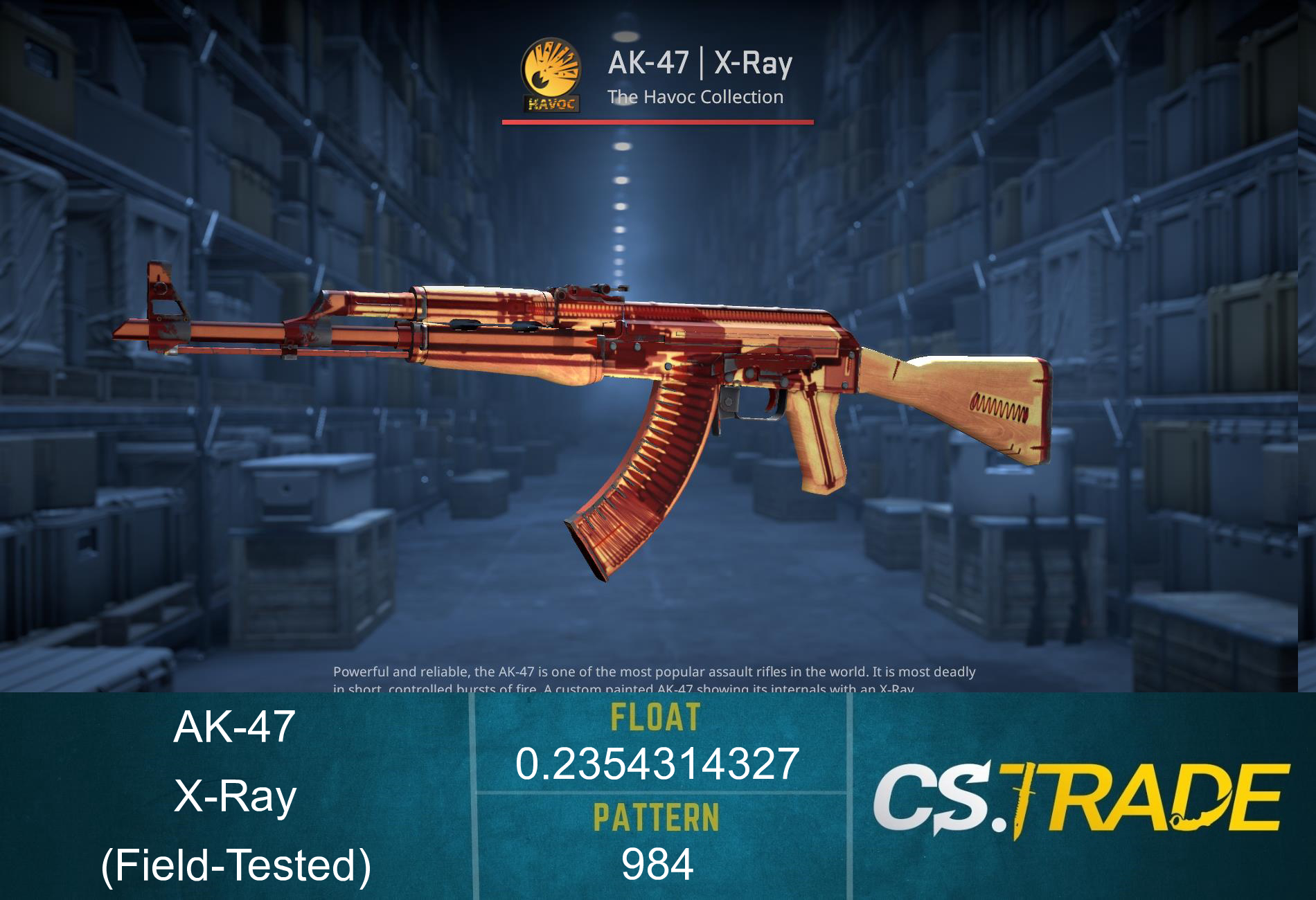 AK-47 | X-Ray (Field-Tested) Screenshot