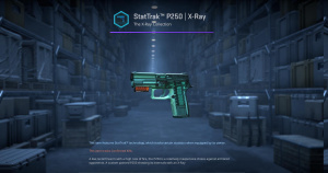 StatTrak™ P250 | X-Ray (Factory New) Screenshot