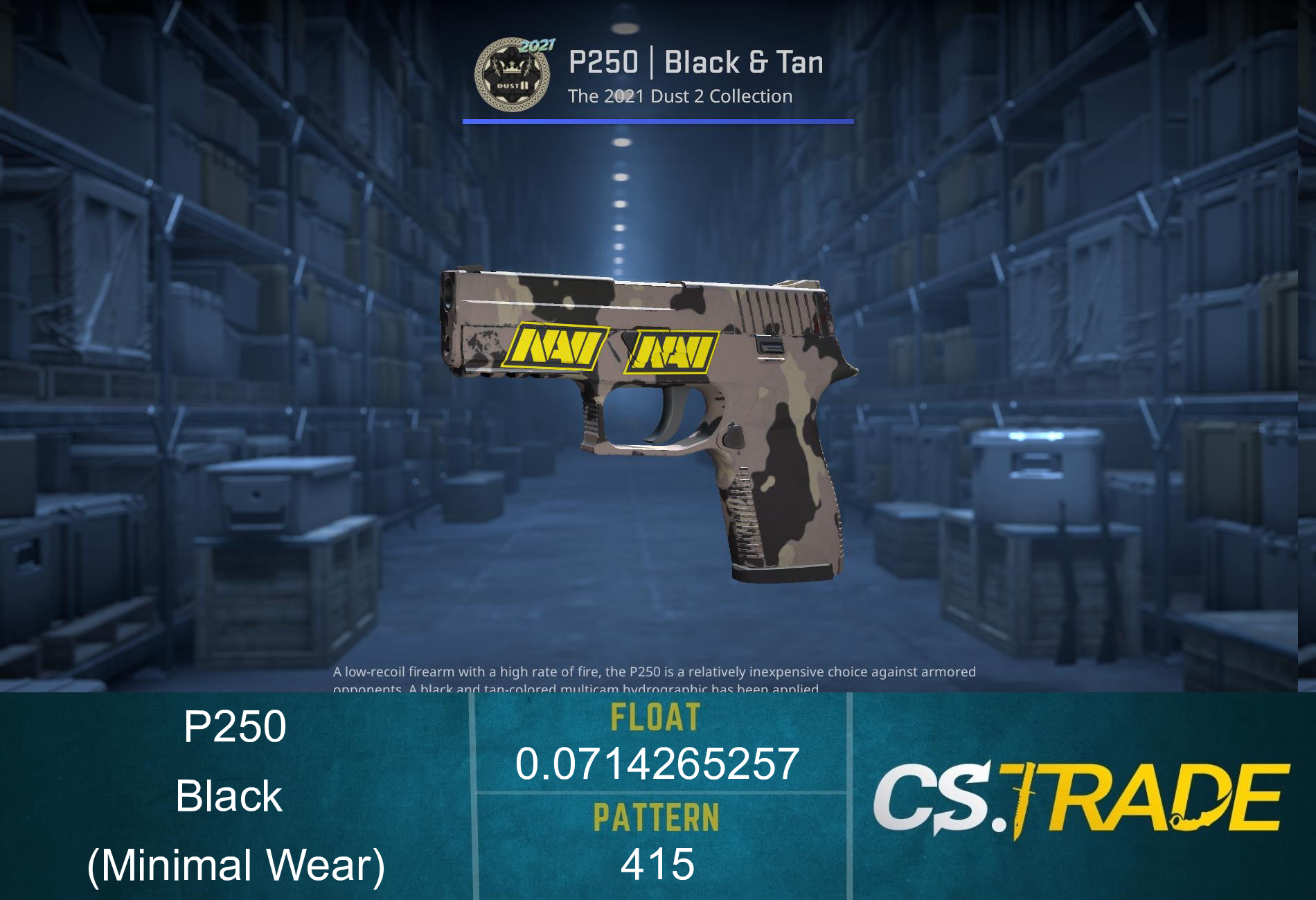 P250 | Black & Tan (Minimal Wear) Screenshot