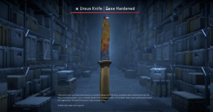 ★ Ursus Knife | Case Hardened (Battle-Scarred) Screenshot