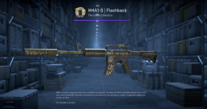 M4A1-S | Flashback (Factory New) Screenshot