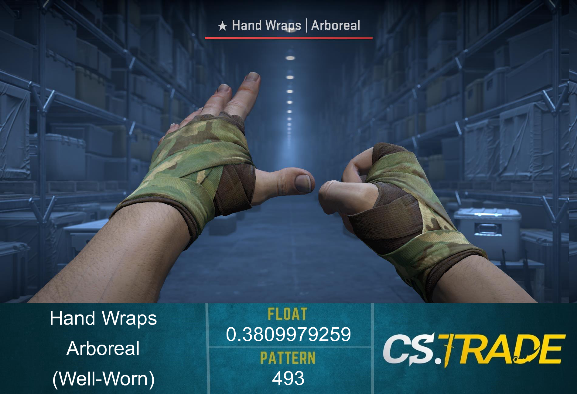 ★ Hand Wraps | Arboreal (Well-Worn) Screenshot