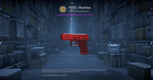 P250 | Muertos (Field-Tested) Screenshot