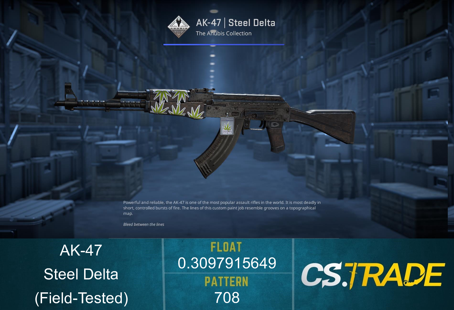 AK-47 | Steel Delta (Field-Tested) Screenshot