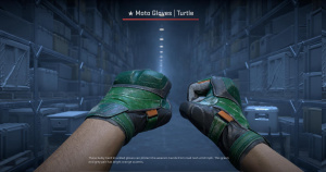 ★ Moto Gloves | Turtle (Battle-Scarred) Screenshot