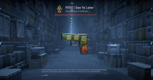 P250 | See Ya Later (Battle-Scarred) Screenshot