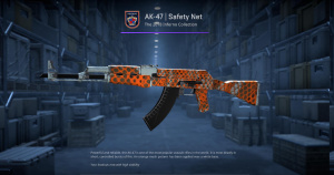 AK-47 | Safety Net (Field-Tested) Screenshot