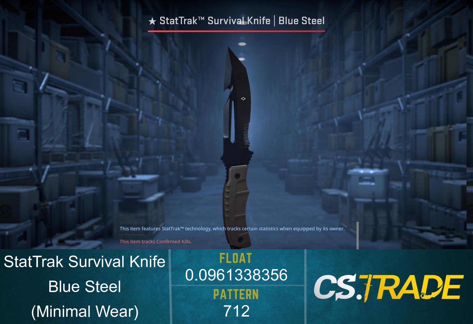 Survival Knife Blue Steel ⭐️ CS2 Skin