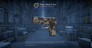 P250 | Black & Tan (Field-Tested) Screenshot