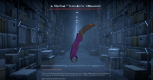 ★ StatTrak™ Talon Knife | Ultraviolet (Field-Tested) Screenshot