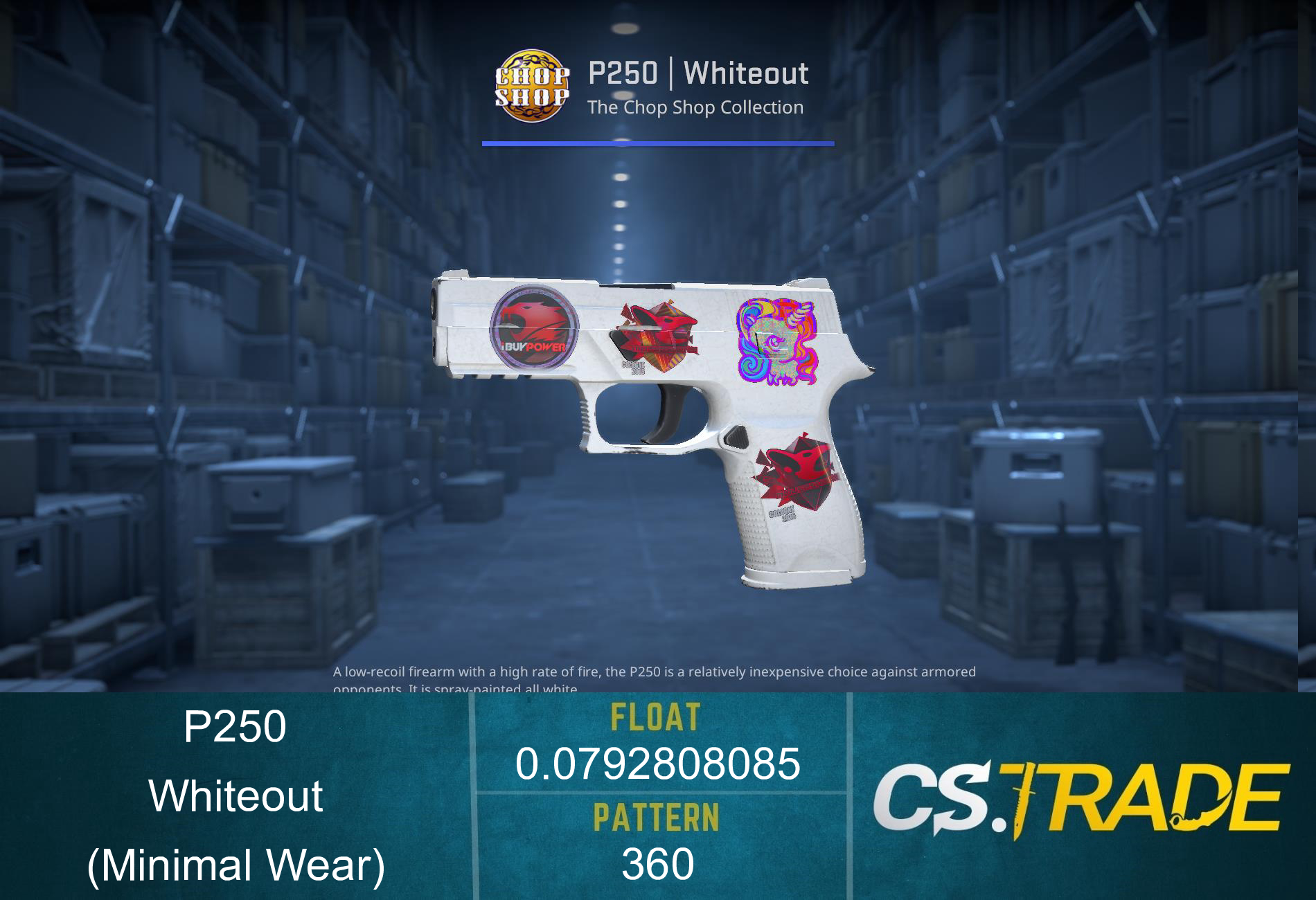 P250 | Whiteout (Minimal Wear) Screenshot