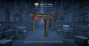 MAC-10 | Tatter (Field-Tested) Screenshot