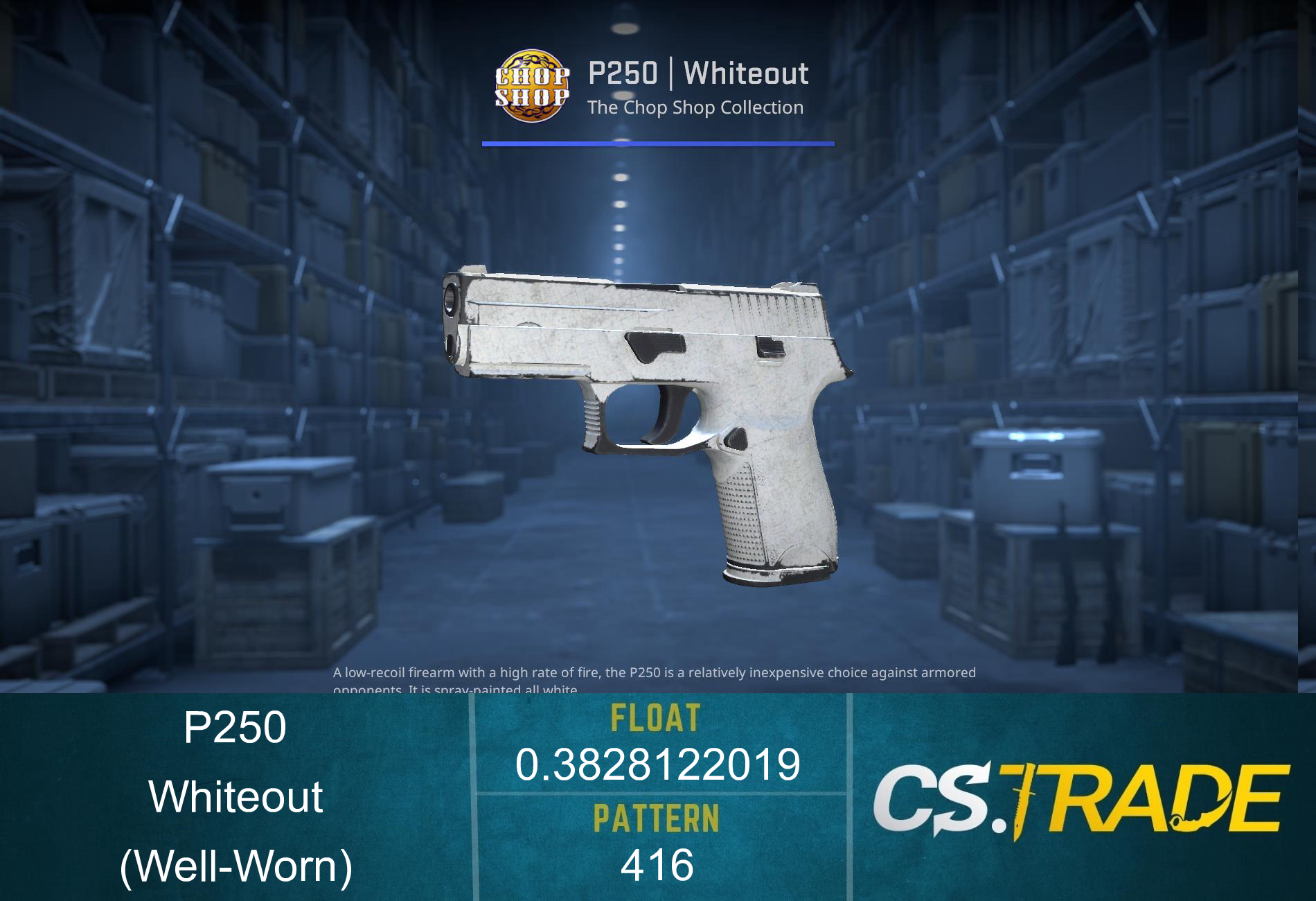 P250 | Whiteout (Well-Worn) Screenshot