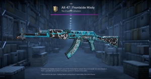 AK-47 | Frontside Misty (Field-Tested) Screenshot