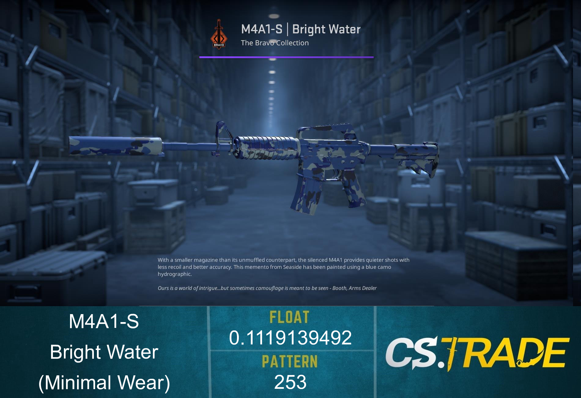 M4A1-S | Bright Water (Minimal Wear) Screenshot