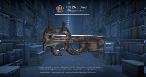 P90 | Scorched (Field-Tested) Screenshot
