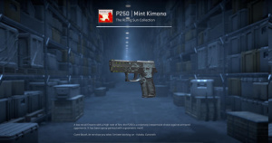 P250 | Mint Kimono (Battle-Scarred) Screenshot
