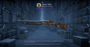 Nova | Gila (Minimal Wear) Screenshot