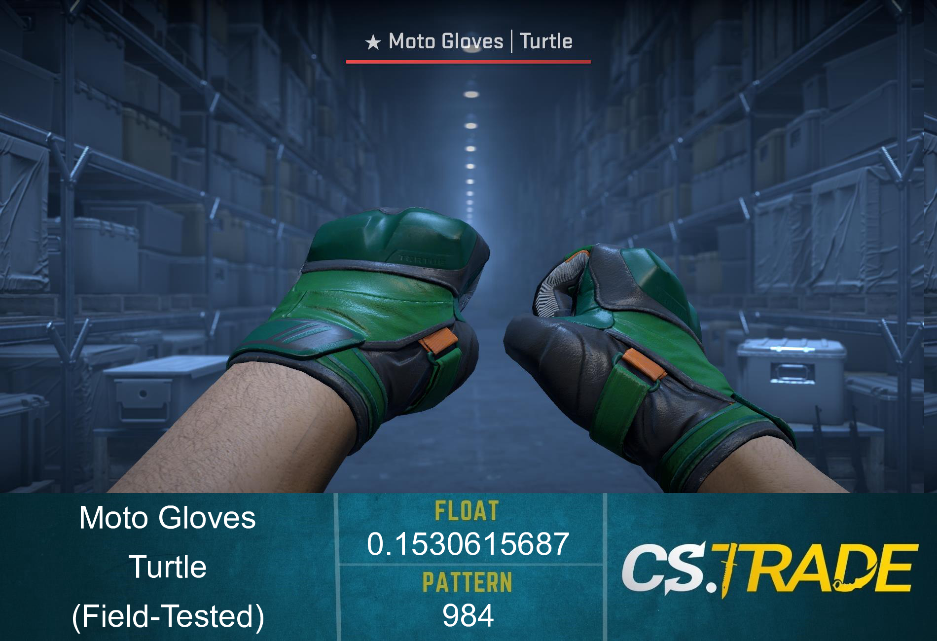 ★ Moto Gloves | Turtle (Field-Tested) Screenshot