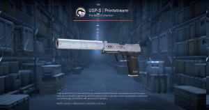 USP-S | Printstream (Battle-Scarred) Screenshot