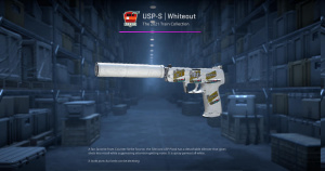 USP-S | Whiteout (Field-Tested) Screenshot