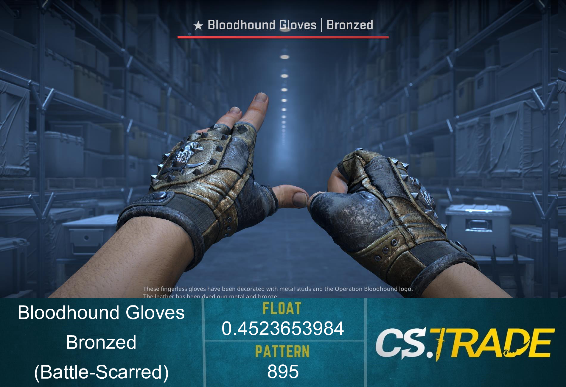 ★ Bloodhound Gloves | Bronzed (Battle-Scarred) Screenshot