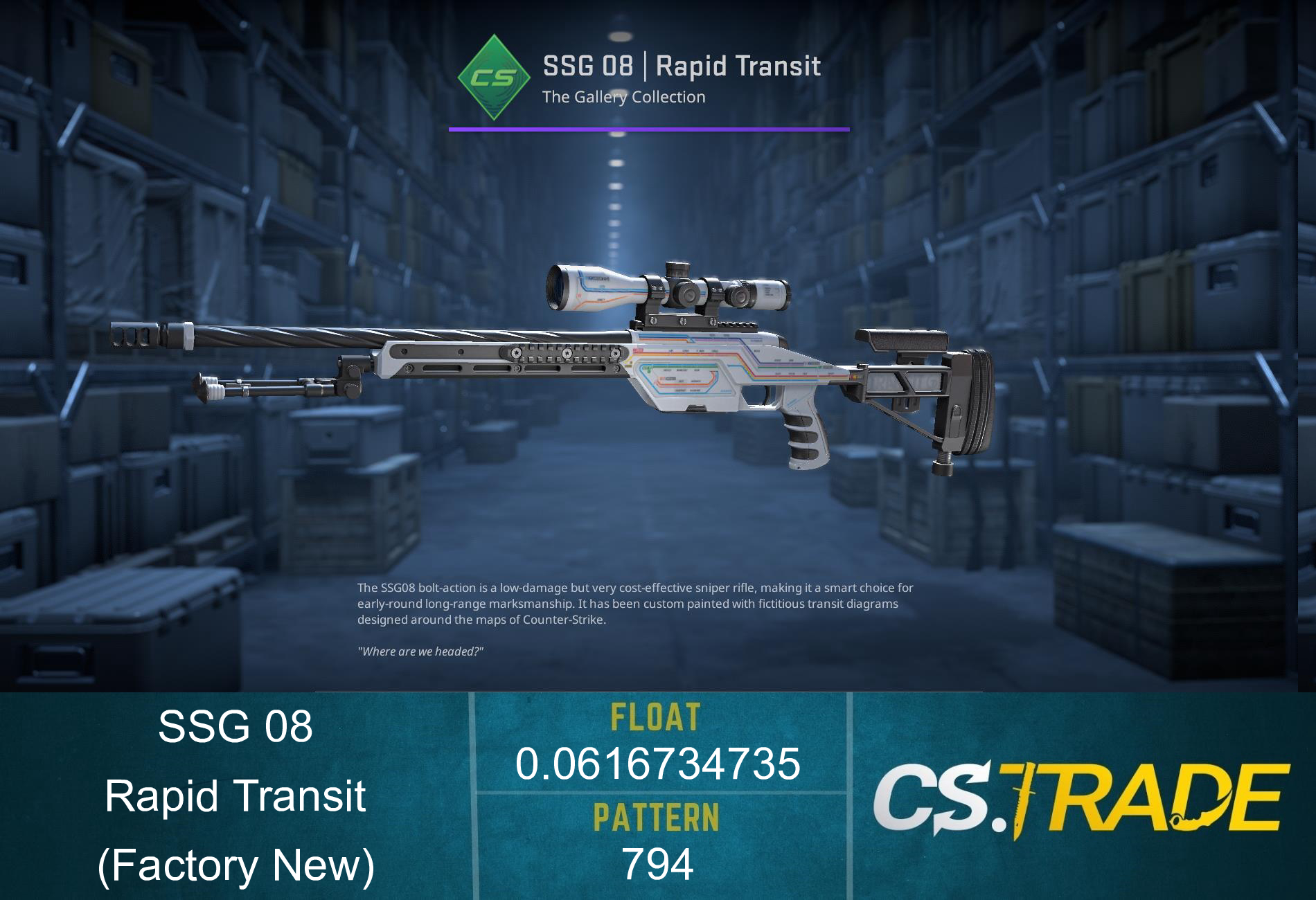SSG 08 | Rapid Transit (Well-Worn) Screenshot