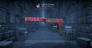 USP-S | Cortex (Well-Worn) Screenshot