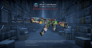 AK-47 | Leet Museo (Minimal Wear) Screenshot