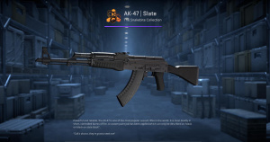 AK-47 | Slate (Field-Tested) Screenshot